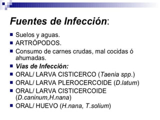 Cisticercosis parasitosis intestinal