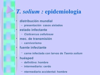 Cisticercosis parasitosis intestinal
