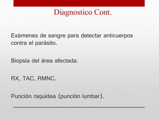 Exámenes de sangre para detectar anticuerpos
contra el parásito.
Biopsia del área afectada.
RX, TAC, RMNC.
Punción raquídea (punción lumbar).
Diagnostico Cont.
 