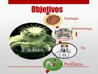 Objetivos
T. solium
Etiología
Sintomatología
Profilaxis
Dx
 