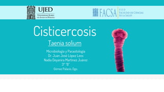 Cisticercosis
Taenia solium
Microbiología y Parasitología
Dr. Juan José López Leos
Nadia Deyanira Martínez Juárez
3º “B”
Gómez Palacio, Dgo.
 