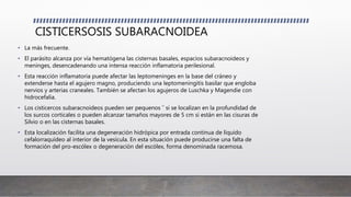 CISTICERSOSIS SUBARACNOIDEA
• La más frecuente.
• El parásito alcanza por vía hematógena las cisternas basales, espacios subaracnoideos y
meninges, desencadenando una intensa reacción inflamatoria perilesional.
• Esta reacción inflamatoria puede afectar las leptomeninges en la base del cráneo y
extenderse hasta el agujero magno, produciendo una leptomeningitis basilar que engloba
nervios y arterias craneales. También se afectan los agujeros de Luschka y Magendie con
hidrocefalia.
• Los cisticercos subaracnoideos pueden ser pequenos ˜ si se localizan en la profundidad de
los surcos corticales o pueden alcanzar tamaños mayores de 5 cm si están en las cisuras de
Silvio o en las cisternas basales.
• Esta localización facilita una degeneración hidrópica por entrada continua de líquido
cefalorraquídeo al interior de la vesícula. En esta situación puede producirse una falta de
formación del pro-escólex o degeneración del escólex, forma denominada racemosa.
 