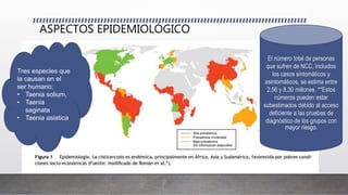 ASPECTOS EPIDEMIOLÓGICO
Tres especies que
la causan en el
ser humano:
• Taenia solium,
• Taenia
saginata
• Taenia asiatica
El número total de personas
que sufren de NCC, incluidos
los casos sintomáticos y
asintomáticos, se estima entre
2,56 y 8,30 millones. **Estos
números pueden estar
subestimados debido al acceso
deficiente a las pruebas de
diagnóstico de los grupos con
mayor riesgo.
 