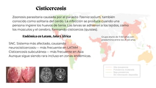 Cisticercosis
Endémica en Latam, Asia y África
Zoonosis parasitaria causada por el parásito Taenia solium, también
conocido como solitaria del cerdo. La infección se produce cuando una
persona ingiere los huevos de tenia. Las larvas se adhieren a los tejidos, como
los músculos y el cerebro, formando cisticercos (quistes).
SNC. Sistema más afectado, causando
neurocisticercosis--- más frecuente en LATAM
Cisticercosis subcutánea--- más frecuente en Asia
Aunque sigue siendo rara incluso en zonas endémicas.
Grupo etario de 11-60 años con
predominio entre los 21-40 años
 