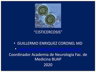 “CISTICERCOSIS”
• GUILLERMO ENRIQUEZ CORONEL MD
• www.clinicadeparkinsonpuebla.com
Coordinador Academia de Neurologia Fac. de
Medicina BUAP
2020
 
