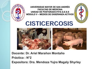 UNIVERSIDAD MAYOR DE SAN ANDRÉS
FACULTAD DE MEDICINA
UNIDAD DE POSTGRADO-P.P.E.G.E.S.S
MÓDULO V – MEDIOS DE ENSEÑANZA ACTIVOS
Docente: Dr. Ariel Marañon Montaño
Práctica : N°2
Expositora: Dra. Mendoza Yujra Magaly Shyrley
 