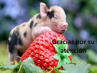 Gracias por su
atención
 