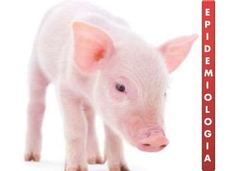 E
P
I
D
E
M
I
O
L
O
G
I
A
 