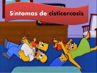 Síntomas de cisticercosis
 