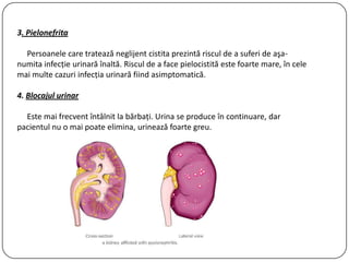 3. Pielonefrita
Persoanele care tratează neglijent cistita prezintă riscul de a suferi de aşa-
numita infecţie urinară înaltă. Riscul de a face pielocistită este foarte mare, în cele
mai multe cazuri infecţia urinară fiind asimptomatică.
4. Blocajul urinar
Este mai frecvent întâlnit la bărbaţi. Urina se produce în continuare, dar
pacientul nu o mai poate elimina, urinează foarte greu.
 
