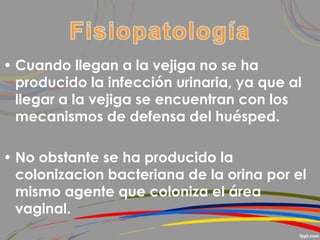 • Cuando llegan a la vejiga no se ha
producido la infección urinaria, ya que al
llegar a la vejiga se encuentran con los
mecanismos de defensa del huésped.
• No obstante se ha producido la
colonizacion bacteriana de la orina por el
mismo agente que coloniza el área
vaginal.
 