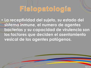 • La receptividad del sujeto, su estado del
sistema inmune, el numero de agentes
bacterias y su capacidad de virulencia son
los factores que deciden el asentamiento
vesical de los agentes patógenos.
 