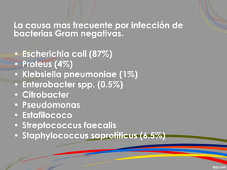 La causa mas frecuente por infección de
bacterias Gram negativas.
• Escherichia coli (87%)
• Proteus (4%)
• Klebsiella pneumoniae (1%)
• Enterobacter spp. (0.5%)
• Citrobacter
• Pseudomonas
• Estafilococo
• Streptococcus faecalis
• Staphylococcus saprofíticus (6.5%)
 