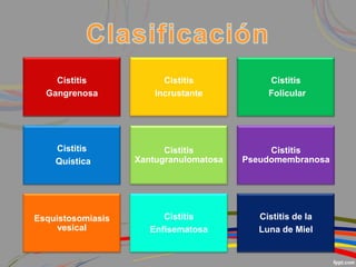 Cistitis
Gangrenosa
Cistitis
Incrustante
Cistitis
Folicular
Cistitis
Quística
Cistitis
Xantugranulomatosa
Cistitis
Pseudomembranosa
Esquistosomiasis
vesical
Cistitis
Enfisematosa
Cistitis de la
Luna de Miel
 