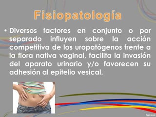 • Diversos factores en conjunto o por
separado influyen sobre la acción
competitiva de los uropatógenos frente a
la flora nativa vaginal, facilita la invasión
del aparato urinario y/o favorecen su
adhesión al epitelio vesical.
 