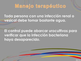 Toda persona con una infección renal o
vesical debe tomar bastante agua.
El control puede abarcar urocultivos para
verificar que la infección bacteriana
haya desaparecido.
 