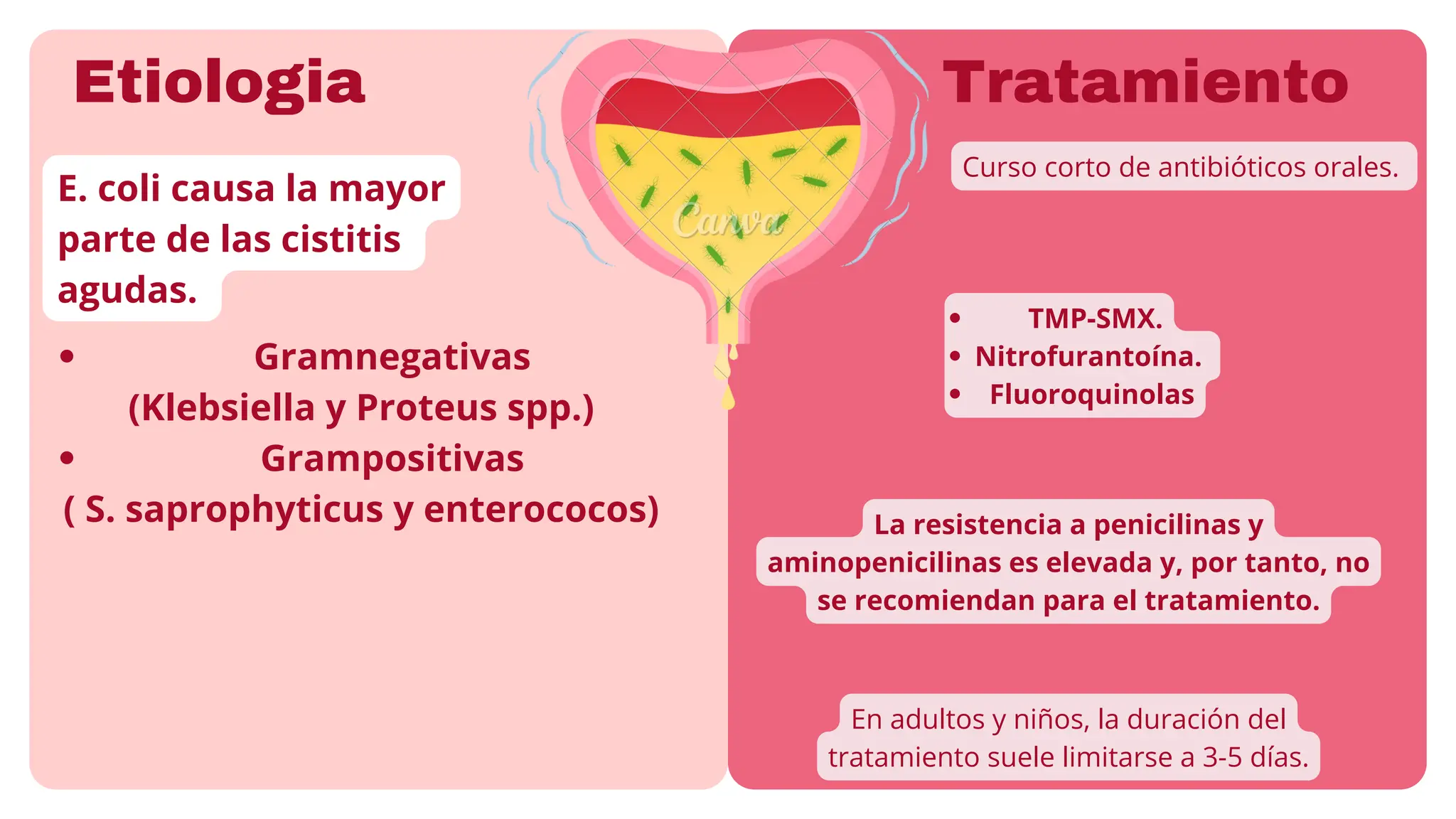 CISTITIS AGUDA Y CRÓNICA clinica del adulto, sistemas urinarios | PDF