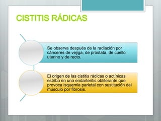 CISTITIS RÁDICAS
Se observa después de la radiación por
cánceres de vejiga, de próstata, de cuello
uterino y de recto.
El origen de las cistitis rádicas o actínicas
estriba en una endarteritis obliterante que
provoca isquemia parietal con sustitución del
músculo por fibrosis.
 
