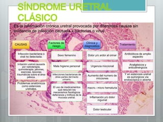SÍNDROME URETRAL
CLÁSICO
CAUSAS
Infección bacteriana o
viral no detectada.
Irritación uretral causada
por radioterapia,
quimioterapia, jabones,
esencias, lesiones
traumáticas sobre el área
pélvica.
Problemas anatómicos
como estenosis
uretrales.
Factores de
riesgo
Sexo femenino
Mala higiene personal
Infecciones bacterianas de
otras partes del tracto
urinario.
El uso de medicamentos
que reducen los
mecanismos fisiológicos
defensivos y tróficos de la
mucosa uretral.
Clínica y
diagnostico
Dolor y/o ardor al orinar
Urgencia miccional
Aumento del numero de
micciones
macro.- micro hematuria
Inflamación y/o dolor
inguinal
Dolor testicular
Tratamiento
Antibióticos de amplio
espectro
Analgésicos y
anticolinérgicos
Y en estenosis uretral
es quirúrgicos vía
endoscópica o abierta.
Es la inflamación crónica uretral provocada por diferentes causas sin
evidencia de infección causada x bacterias o virus
 