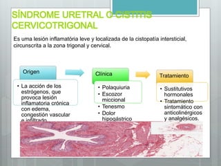 SÍNDROME URETRAL O CISTITIS
CERVICOTRIGONAL
Origen
• La acción de los
estrógenos, que
provoca lesión
inflamatoria crónica
con edema,
congestión vascular
e infiltrado
inflamatorio de la
submucosa.
Clínica
• Polaquiuria
• Escozor
miccional
• Tenesmo
• Dolor
hipogástrico
Tratamiento
• Sustitutivos
hormonales
• Tratamiento
sintomático con
anticolinérgicos
y analgésicos.
Es uma lesión inflamatória leve y localizada de la cistopatía intersticial,
circunscrita a la zona trigonal y cervical.
 