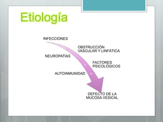 Etiología
INFECCIONES
OBSTRUCCIÓN
VASCULAR Y LINFÁTICA
NEUROPATÍAS
FACTORES
PSICOLÓGICOS
AUTOINMUNIDAD
DEFECTO DE LA
MUCOSA VESICAL
 