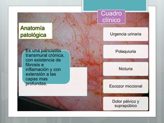 Anatomía
patológica
Es una pancistitis
transmural crónica,
con existencia de
fibrosis e
inflamación y con
extensión a las
capas mas
profundas.
Cuadro
clínico
Urgencia urinaria
Polaquiuria
Nicturia
Escozor miccional
Dolor pélvico y
suprapúbico
 