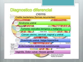 Diagnostico diferencial
Cistitis bacteriana (formas recurrentes)
Síndrome uretral
Tumores vesicales benignos y malignos
Cáncer uterino, cervical, vaginal y uretral
Divertículo uretral. Vejiga hiperactiva
Enfermedades sistémicas autoinmunes
Vaginitis. Dolor vulvar. Herpes genital
 