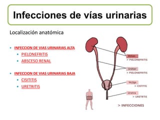 Infecciones de vías urinarias
Localización anatómica
 INFECCION DE VIAS URINARIAS ALTA
 PIELONEFRITIS
 ABSCESO RENAL
 INFECCION DE VIAS URINARIAS BAJA
 CISITITIS
 URETRITIS
 