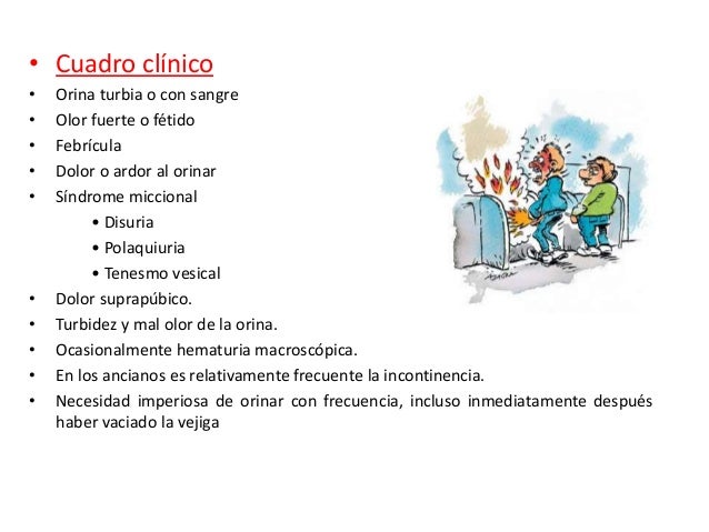 Cistitis y pielonefritis Cistitis y pielonefritis