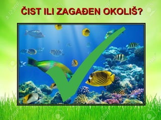 ČIST ILI ZAGAĐEN OKOLIŠ?ČIST ILI ZAGAĐEN OKOLIŠ?
 
