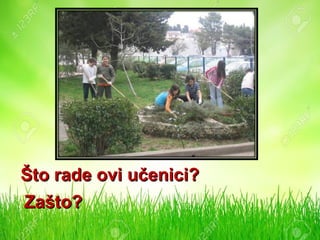 Što rade oviŠto rade ovi učenici?učenici?
Zašto?Zašto?
 