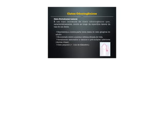 Cisto Periodontal Lateral
É um tipo incomum de cisto odontogênico que,
caracteristicamente, ocorre ao longo da superfície lateral da
raiz de um dente.
Representa a contra-parte intra óssea do cisto gengival do
adulto.
Encontrado entre a quinta e sétima década de vida.
Geralmente associados a caninos e pré-molares inferiores
(dentes vitais).
Cisto pequeno (+- 1cm de diâmetro).
Cistos Odontogênicos
 