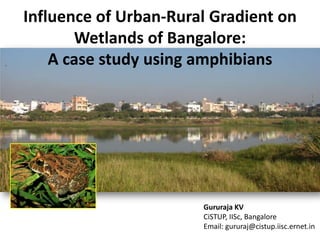 Influence of Urban-Rural Gradient on
       Wetlands of Bangalore:
    A case study using amphibians




                       Gururaja KV
                       CiSTUP, IISc, Bangalore
                       Email: gururaj@cistup.iisc.ernet.in
 