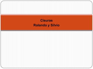 Cisuras
Rolando y Silvio
 