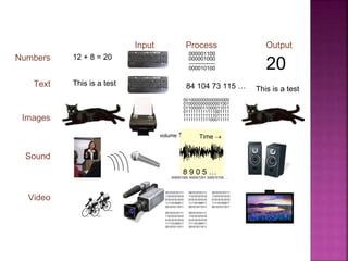 Numbers
Images
Sound
Video
Input Process Output
12 + 8 = 20
000001100
000001000
---------------
000010100 20
0010000000000000000
0100000000000001001
0110000011000011011
0111111111111001111
1111111111111011111
1111111111100011111
000001000 000001001 000010100 …
volume  Time 
00101010111
11010101010
01010101010
11110100011
00101011011
8 9 0 5 …
00101010111
11010101010
01010101010
11110100011
00101011011
00101010111
11010101010
01010101010
11110100011
00101011011
00101010111
11010101010
01010101010
11110100011
00101011011
00101010111
11010101010
01010101010
11110100011
00101011011
Text This is a test 84 104 73 115 … This is a test
 