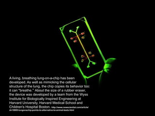 A living, breathing lung-on-a-chip has been
developed. As well as mimicking the cellular
structure of the lung, the chip copies its behavior too:
it can "breathe.“ About the size of a rubber eraser,
the device was developed by a team from the Wyss
Institute for Biologically Inspired Engineering at
Harvard University, Harvard Medical School and
Children's Hospital Boston. http://www.newscientist.com/article/
dn19085-lungonachip-points-to-alternative-to-animal-tests.html
 
