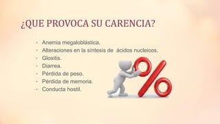 ¿QUE PROVOCA SU CARENCIA?
• Anemia megaloblástica.
• Alteraciones en la síntesis de ácidos nucleicos.
• Glositis.
• Diarrea.
• Pérdida de peso.
• Pérdida de memoria.
• Conducta hostil.
 