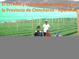 El CITARA y la inclusión económica en la Provincia de Chincheros - Apurímac 