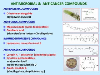 ANTIBACTERIAL COMPOUNDS
C-lactone malyngolide
(Lyngbya majuscula)
ANTIFUNGAL COMPOUNDS
Majusculamide (cyclic depsipeptide)
Gambieric acid
(Gambierdiscus toxicus –Dinoflagellate)
IMMUNOSUPPRESSIVE COMPOUNDS
Lipoproteins, microcolins A and B
ANTICANCER COMPOUNDS
Curacin A – anticancer (antimitotic agent)
Cytotoxic pentapeptides:
majusculamide D
Deoxy majusuculamide D
Amphi dinolide B
(dinoflagellate, Amphidinum sp.)
ANTIMICROBIAL & ANTICANCER COMPOUNDS
 