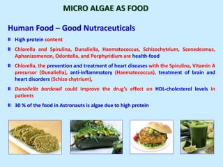 MICRO ALGAE AS FOOD
Human Food – Good Nutraceuticals
High protein content
Chlorella and Spirulina, Dunaliella, Haematococcus, Schizochytrium, Scenedesmus,
Aphanizomenon, Odontella, and Porphyridium are health-food
Chlorella, the prevention and treatment of heart diseases with the Spirulina, Vitamin A
precursor (Dunaliella), anti-inflammatory (Haematococcus), treatment of brain and
heart disorders (Schizo chytrium),
Dunaliella bardawil could improve the drug’s effect on HDL-cholesterol levels in
patients
30 % of the food in Astronauts is algae due to high protein
 