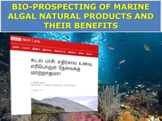 BIO-PROSPECTING OF MARINE
ALGAL NATURAL PRODUCTS AND
THEIR BENEFITS
 