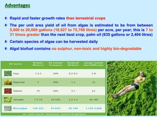 Advantages
Rapid and faster growth rates than terrestrial crops
The per unit area yield of oil from algae is estimated to be from between
5,000 to 20,000 gallons (18,927 to 75,708 litres) per acre, per year; this is 7 to
31 times greater than the next best crop, palm oil (635 gallons or 2,404 litres)
Certain species of algae can be harvested daily
Algal biofuel contains no sulphur, non-toxic and highly bio-degradable
 