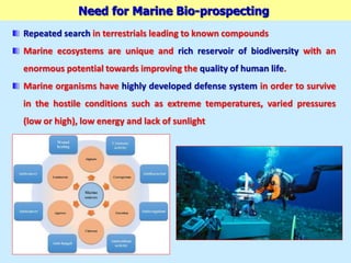 Need for Marine Bio-prospecting
Repeated search in terrestrials leading to known compounds
Marine ecosystems are unique and rich reservoir of biodiversity with an
enormous potential towards improving the quality of human life.
Marine organisms have highly developed defense system in order to survive
in the hostile conditions such as extreme temperatures, varied pressures
(low or high), low energy and lack of sunlight
 