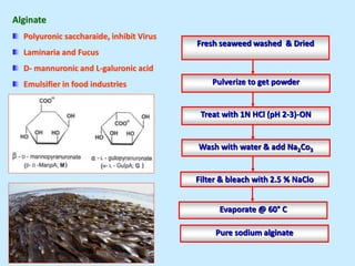 Alginate
Polyuronic saccharaide, inhibit Virus
Laminaria and Fucus
D- mannuronic and L-galuronic acid
Emulsifier in food industries
Fresh seaweed washed & Dried
Pulverize to get powder
Treat with 1N HCl (pH 2-3)-ON
Wash with water & add Na2Co3
Filter & bleach with 2.5 % NaClo
Evaporate @ 60° C
Pure sodium alginate
 