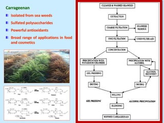 Carrageenan
Isolated from sea weeds
Sulfated polysaccharides
Powerful antioxidants
Broad range of applications in food
and cosmetics
 