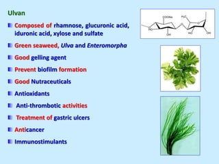 Ulvan
Composed of rhamnose, glucuronic acid,
iduronic acid, xylose and sulfate
Green seaweed, Ulva and Enteromorpha
Good gelling agent
Prevent biofilm formation
Good Nutraceuticals
Antioxidants
Anti-thrombotic activities
Treatment of gastric ulcers
Anticancer
Immunostimulants
 