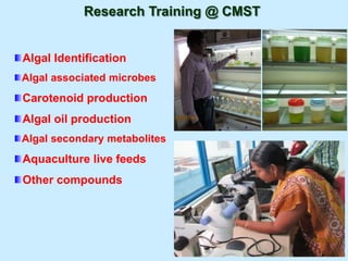 Algal Identification
Algal associated microbes
Carotenoid production
Algal oil production
Algal secondary metabolites
Aquaculture live feeds
Other compounds
Research Training @ CMST
 
