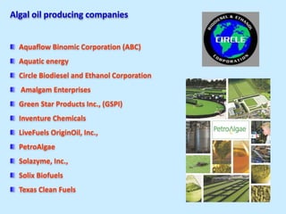 Algal oil producing companies
Aquaflow Binomic Corporation (ABC)
Aquatic energy
Circle Biodiesel and Ethanol Corporation
Amalgam Enterprises
Green Star Products Inc., (GSPI)
Inventure Chemicals
LiveFuels OriginOil, Inc.,
PetroAlgae
Solazyme, Inc.,
Solix Biofuels
Texas Clean Fuels
 