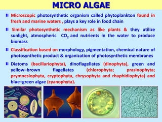 MICRO ALGAE
Microscopic photosynthetic organism called phytoplankton found in
fresh and marine waters , plays a key role in food chain
Similar photosynthetic mechanism as like plants & they utilize
sunlight, atmospheric CO2 and nutrients in the water to produce
biomass
Classification based on morphology, pigmentation, chemical nature of
photosynthetic product & organization of photosynthetic membranes
Diatoms (bacillariophyta), dinoflagellates (dinophyta), green and
yellow–brown flagellates (chlorophyta; prasinophyta;
prymnesiophyta, cryptophyta, chrysophyta and rhaphidiophyta) and
blue–green algae (cyanophyta).
 
