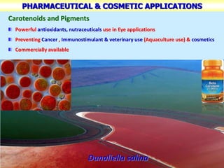 PHARMACEUTICAL & COSMETIC APPLICATIONS
Carotenoids and Pigments
Powerful antioxidants, nutraceuticals use in Eye applications
Preventing Cancer , Immunostimulant & veterinary use (Aquaculture use) & cosmetics
Commercially available
Dunaliella salina
 